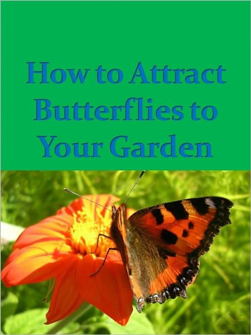 How To Attract Butterflies to Your Garden