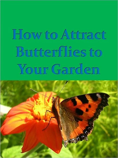 How To Attract Butterflies to Your Garden