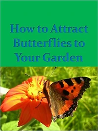 How To Attract Butterflies to Your Garden