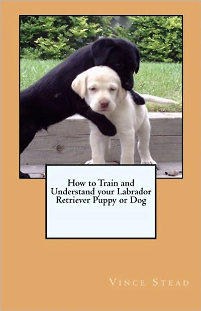 How to Train and Understand your Labrador Retriever Puppy or Dog