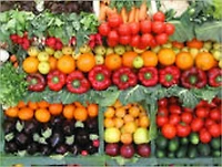 Home Vegetable Gardening