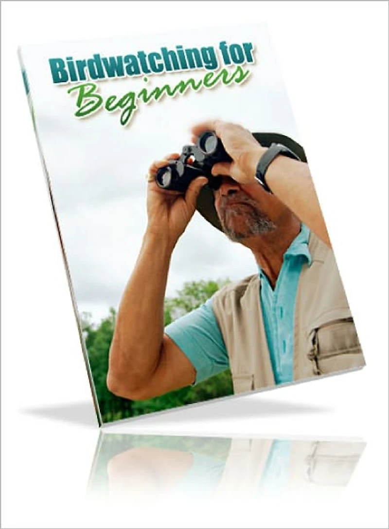 Bird Watching For Beginners