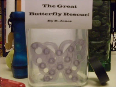 The Great Butterfly Rescue