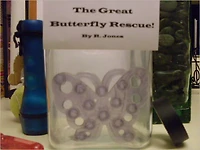The Great Butterfly Rescue