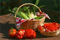 Raw Food Diet ~ Secrets to the Fountain of Youth!