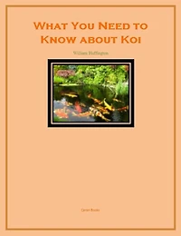 What You Need to Know about Koi