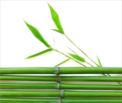 Feng Shui – Divine Arrangement