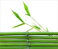 Feng Shui – Divine Arrangement
