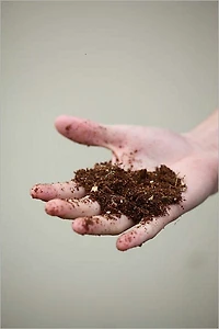 Making a Compost Pile: Time To Get Your Hands Dirty!!