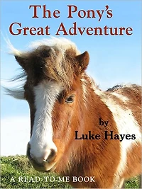 The Pony's Great Adventure