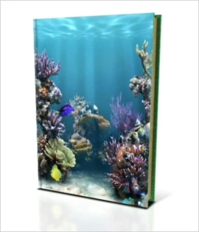 What you ought to know About Owning an Aquarium