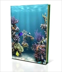 What you ought to know About Owning an Aquarium