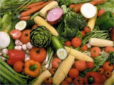 A GUIDE TO HOME VEGETABLE GARDENING - A COMPLETE AND PRACTICAL GUIDE TO THE PLANTING AND CARE OF VEGETABLES, FRUITS AND BERRIES (Well-formatted Edition)