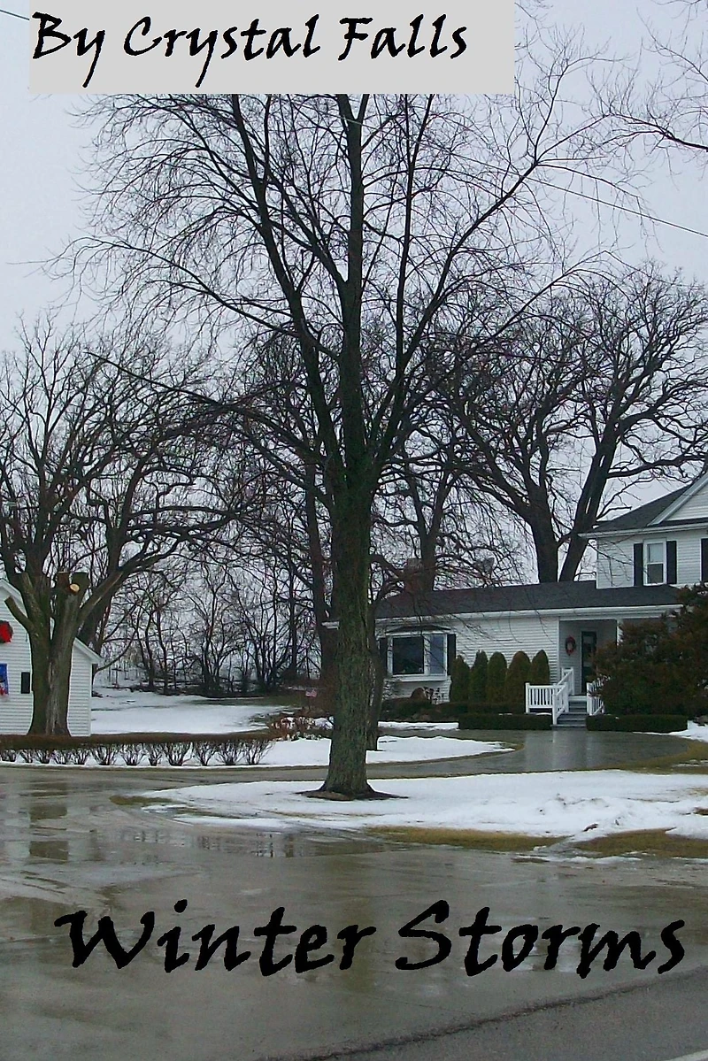 Winter Storms