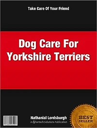 Dog Care For Yorkshire Terriers
