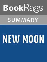 New Moon Lesson Plans