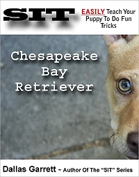 How To Train Your Chesapeake Bay Retriever To Do Fun Tricks