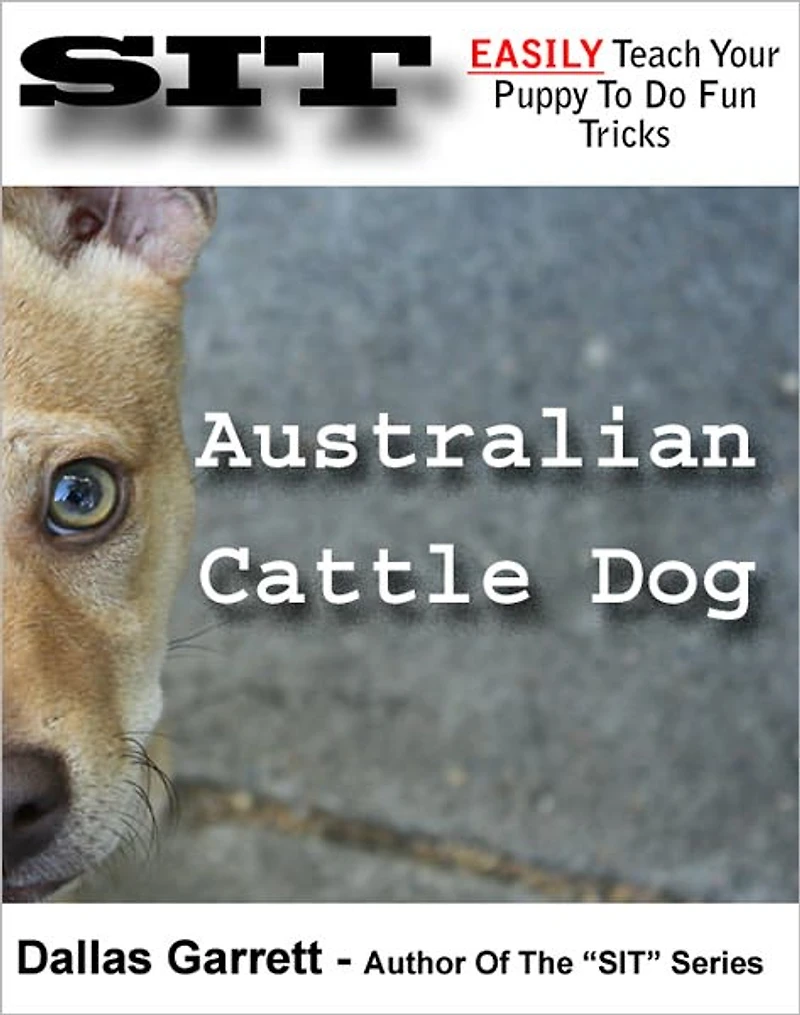 How To Train Your Australian Cattle Dog To Do Fun Tricks