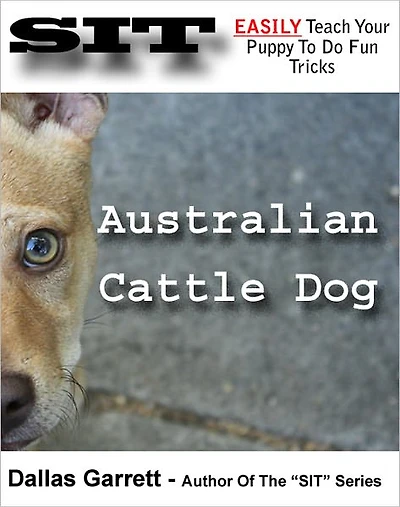How To Train Your Australian Cattle Dog To Do Fun Tricks