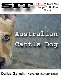 How To Train Your Australian Cattle Dog To Do Fun Tricks