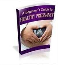 A Beginner's Guide to Healthy Pregnancy
