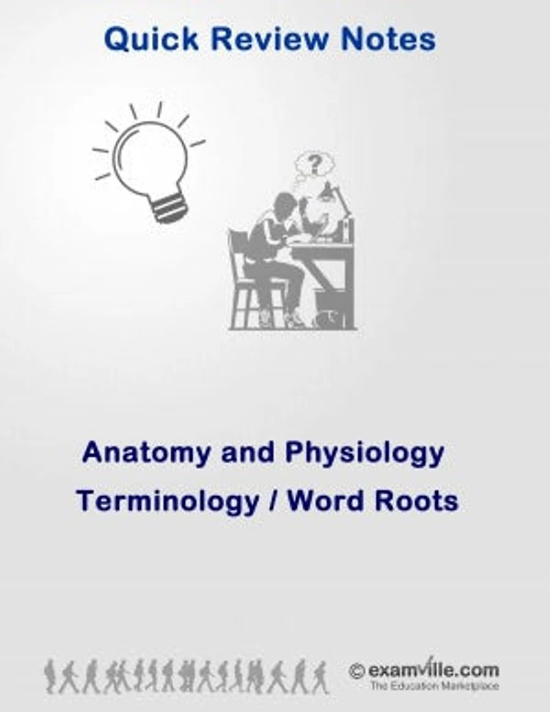 Anatomy & Physiology Terminologies: Word Roots