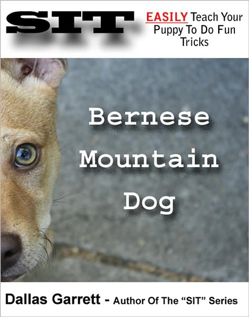 How To Train Your Bernese Mountain Dog To Do Fun Tricks
