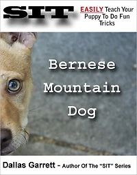 How To Train Your Bernese Mountain Dog To Do Fun Tricks