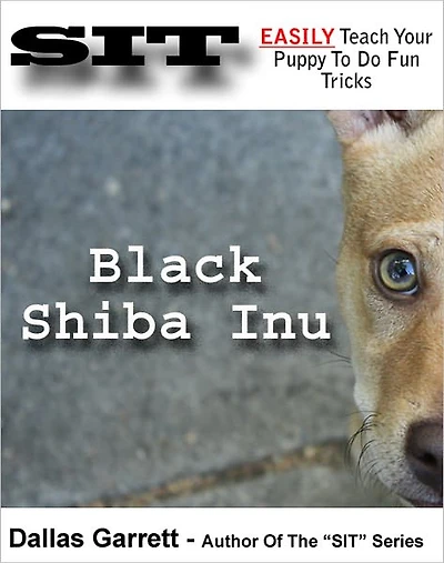 How To Train Your Black Shiba Inu To Do Fun Tricks