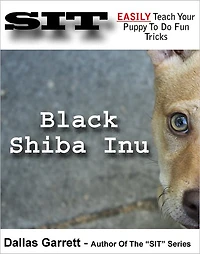 How To Train Your Black Shiba Inu To Do Fun Tricks