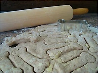 Dog Treat Bakery Start Up Sample Business Plan!