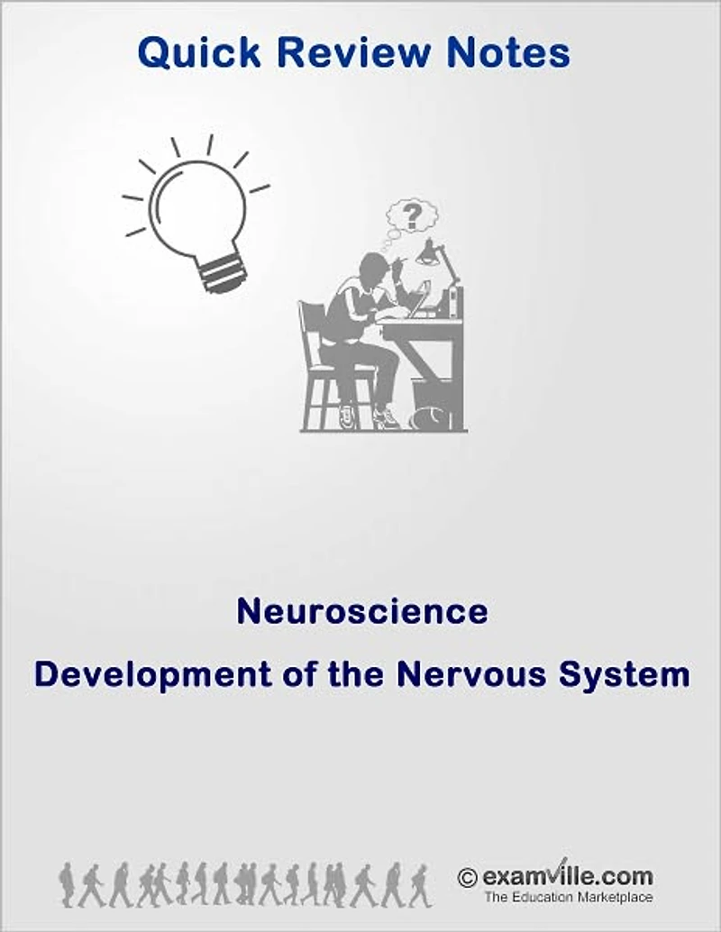 Quick Review Neuroscience: Development of the Nervous System