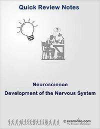 Quick Review Neuroscience: Development of the Nervous System