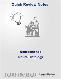 Quick Review Neuroscience: Neuro-Histology
