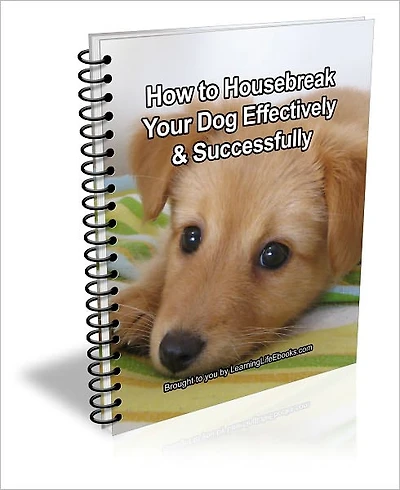 How to Housebreak your Dog Effectively & Successfully