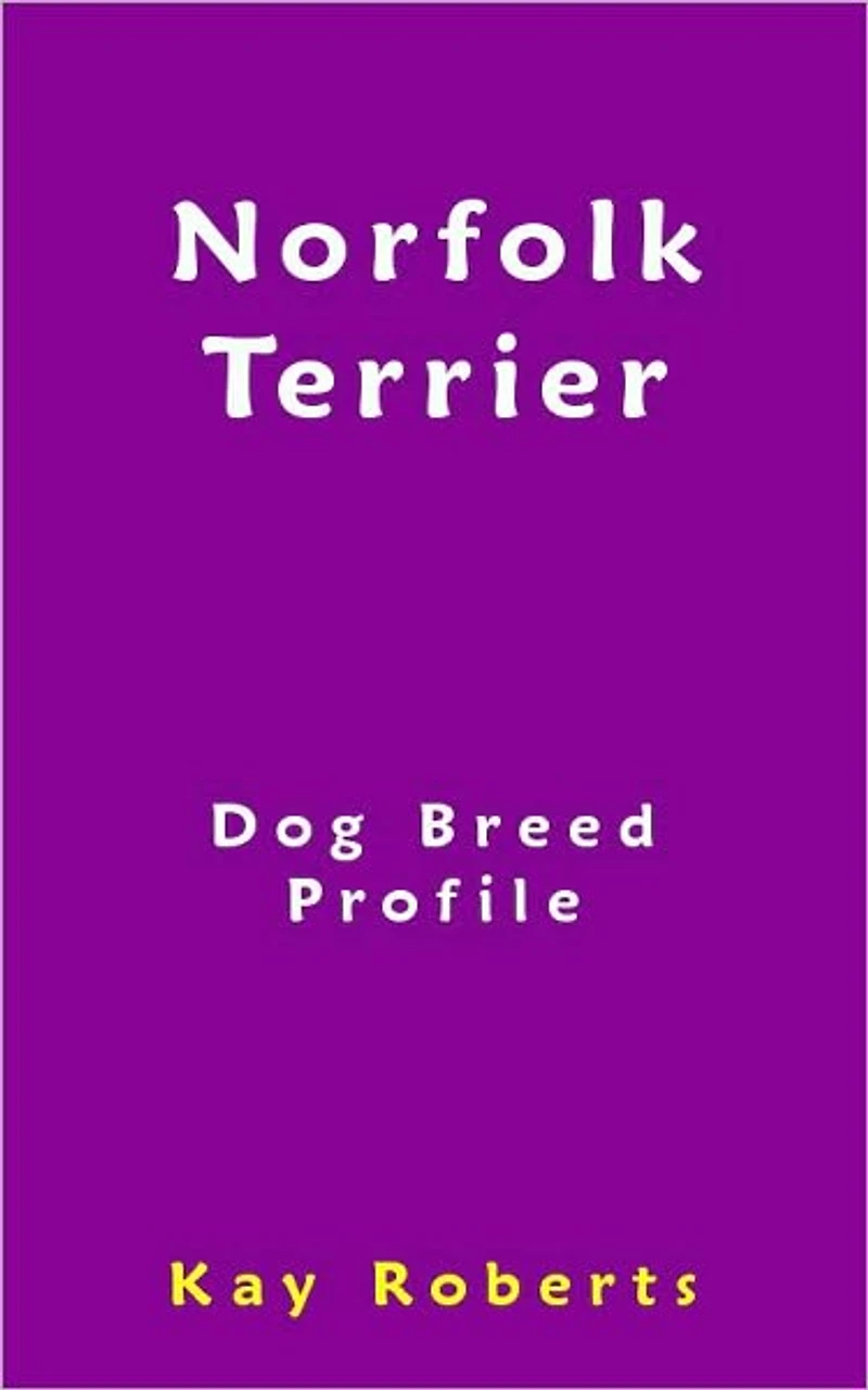 Norfolk Terrier Dog Breed Profile