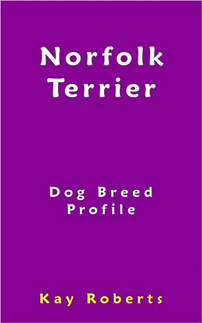 Norfolk Terrier Dog Breed Profile