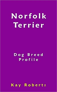 Norfolk Terrier Dog Breed Profile