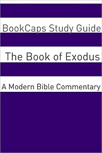 The Book of Exodus: A Modern Bible Commentary