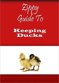 Zippy Guide To Keeping Ducks