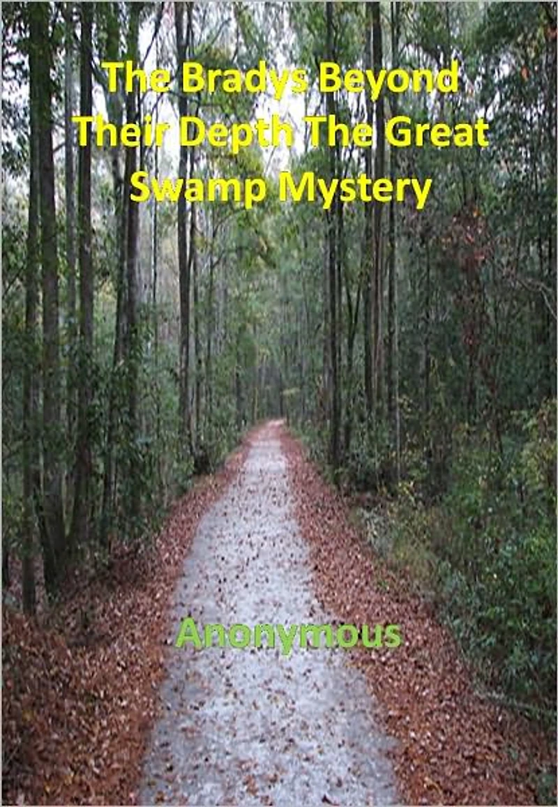 The Bradys Beyond Their Depth The Great Swamp Mystery w/ DirectLink Technology ( A Mystery Classic)
