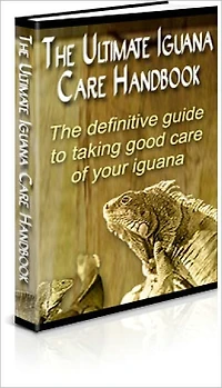 The Ultimate Iguana Care Handbook