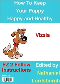 How To Keep Your Vizsla Happy and Healthy
