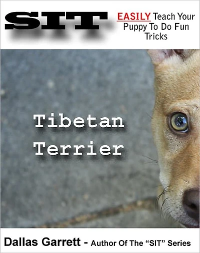 How To Train Your Tibetan Terrier To Do Fun Tricks