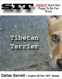 How To Train Your Tibetan Terrier To Do Fun Tricks