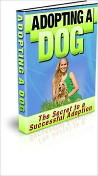 Adopting A Dog