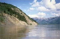 The Young Voyageurs
