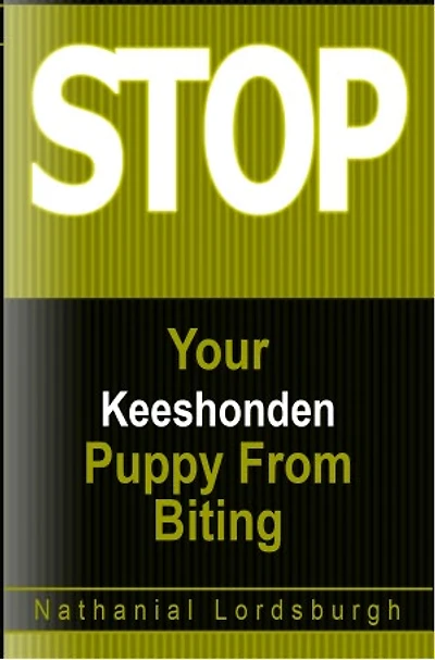 Keep Your Keeshonden From Biting