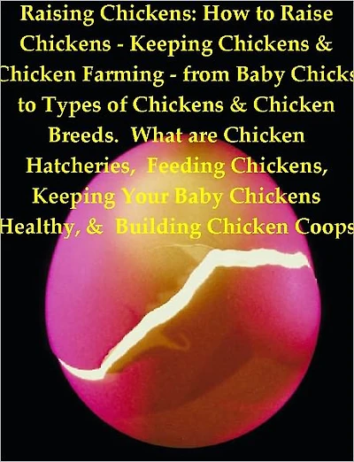 Raising Chickens How to Raise Chickens - Keeping Chickens & Chicken Farming - from Baby Chicks to Types of Chickens & Chicken Breeds. What are Chicken Hatcheries, Feeding Chickens, Keeping Your Baby Chickens Healthy, & Building Chicken Coops