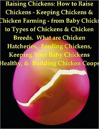 Raising Chickens How to Raise Chickens - Keeping Chickens & Chicken Farming - from Baby Chicks to Types of Chickens & Chicken Breeds. What are Chicken Hatcheries, Feeding Chickens, Keeping Your Baby Chickens Healthy, & Building Chicken Coops